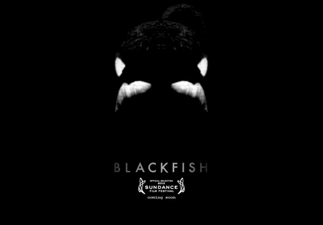 What the anti-SeaWorld documentary ‘Blackfish’ leaves out » Jason Cochran